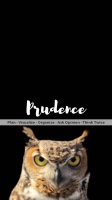iPhone lock screen for Prudence